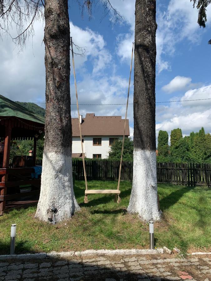 Vila Codreanu برانْ المظهر الخارجي الصورة