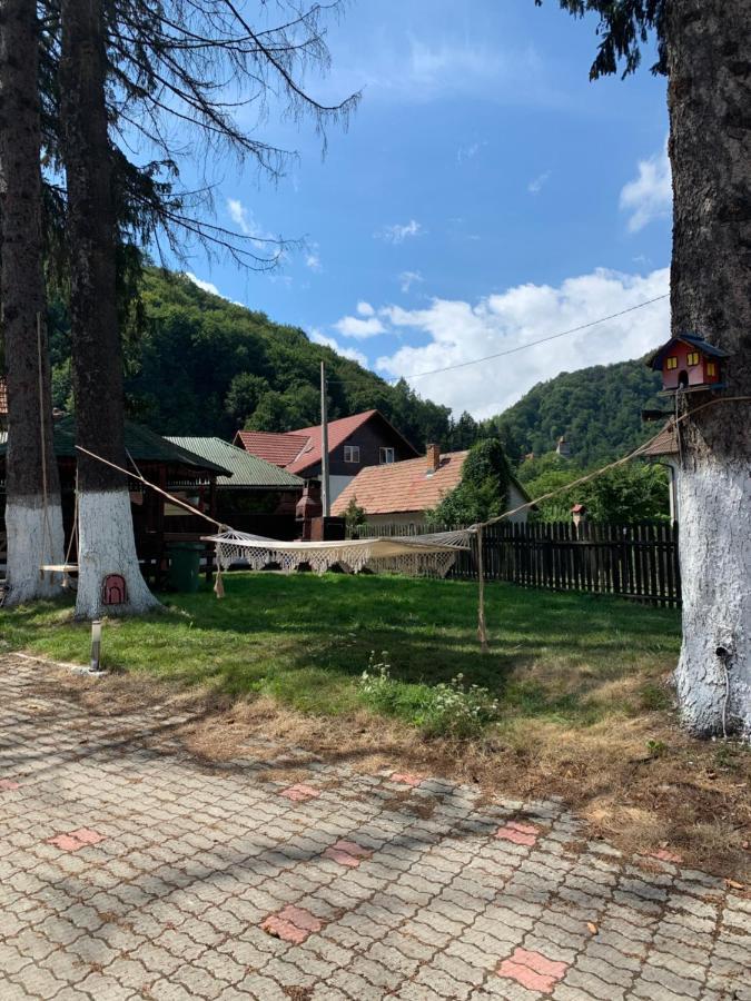 Vila Codreanu برانْ المظهر الخارجي الصورة